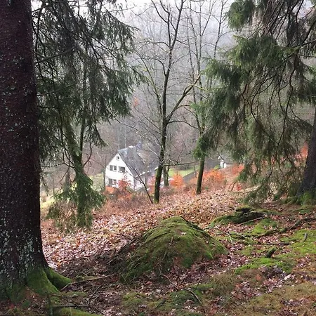Waldhaus Am Burbach Apartament
