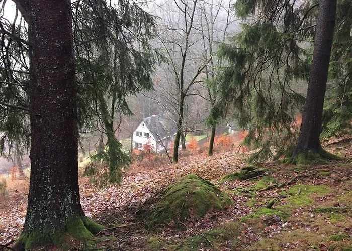 Waldhaus Am Burbach Appartement